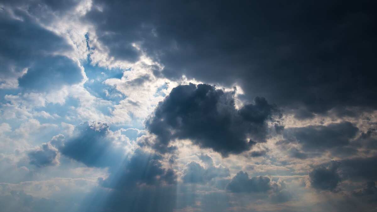 Weather Update: Heatwave to continue in Bihar, Uttar Pradesh; Delhi to witness light rains, says IMD forecast