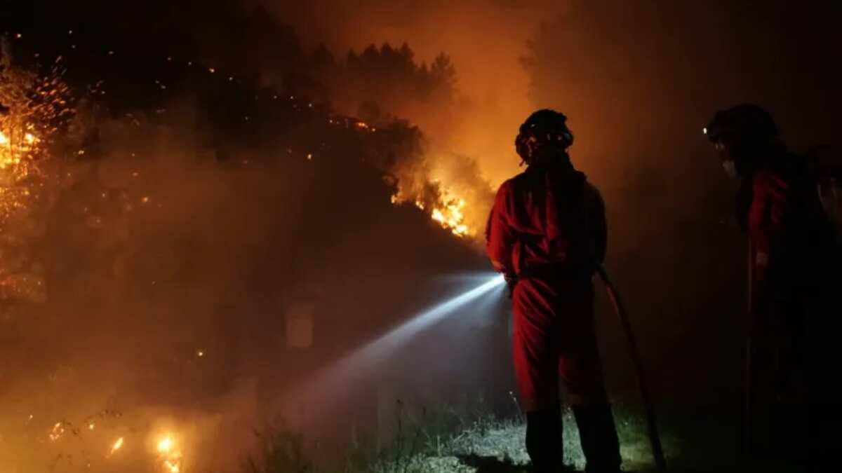 Most advanced forest firefighting systems?
