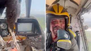 WATCH | Giant bird smashes through flight windscreen, blood-soaked pilot lands plane patiently