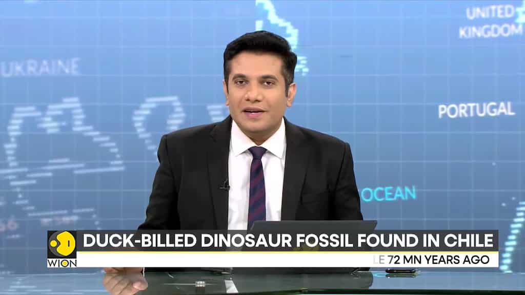 Duck-billed dinosaur fossil found in Chile
