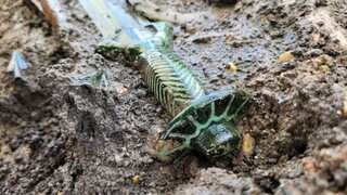 Archaeologists in Germany unearth 3,000-year-old sword that 'still shines'