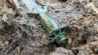 Archaeologists in Germany unearth 3,000-year-old sword that 'still shines'