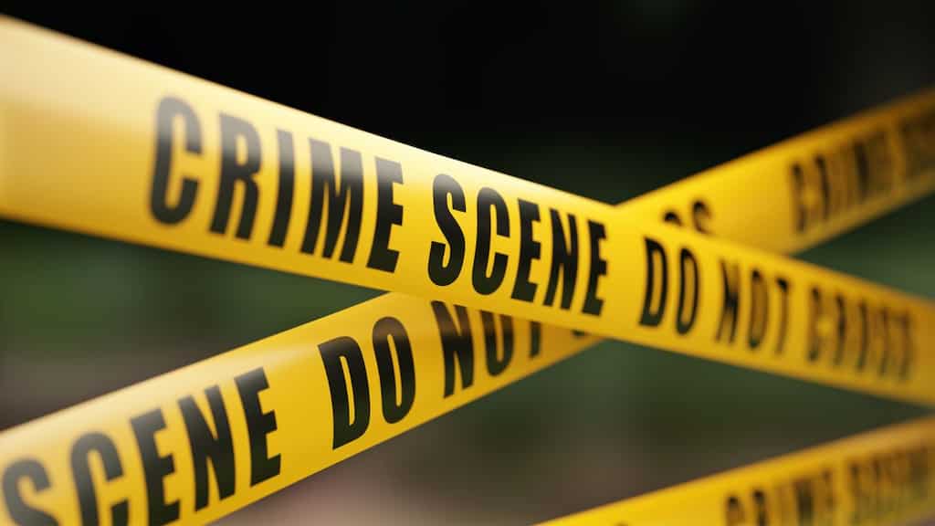 Multiple gunshot victims reported at EDM concert in the US, suspect nabbed