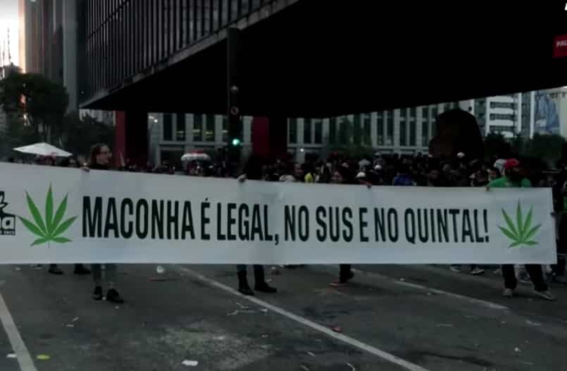 Brazilians protest to demand cannabis decriminalisation Brazilians protest to demand cannabis decriminalisation