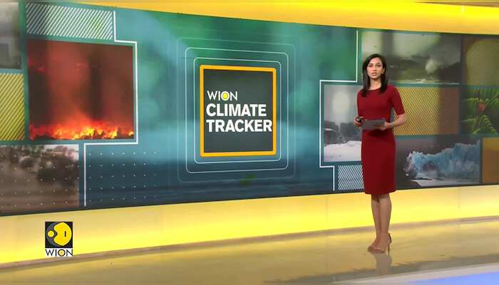 WionNews Video