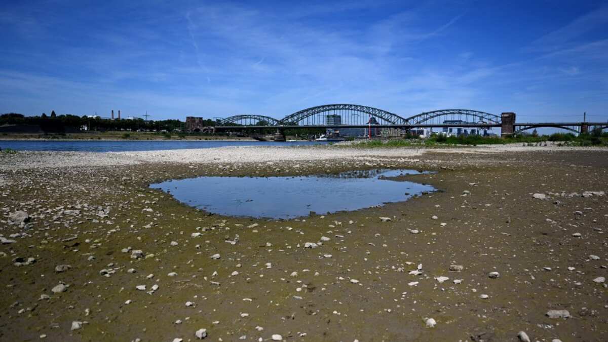 Europe becomes fastest warming continent in world, claims climate report Europe becomes fastest warming continent in world, claims climate report