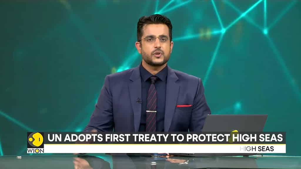 The UN adopts first treaty to protect high seas