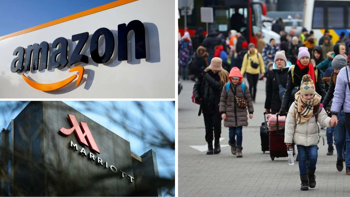 Dozens of big companies vow to hire, train over 250,000 refugees from across Europe Dozens of big companies vow to hire, train over 250,000 refugees from across Europe