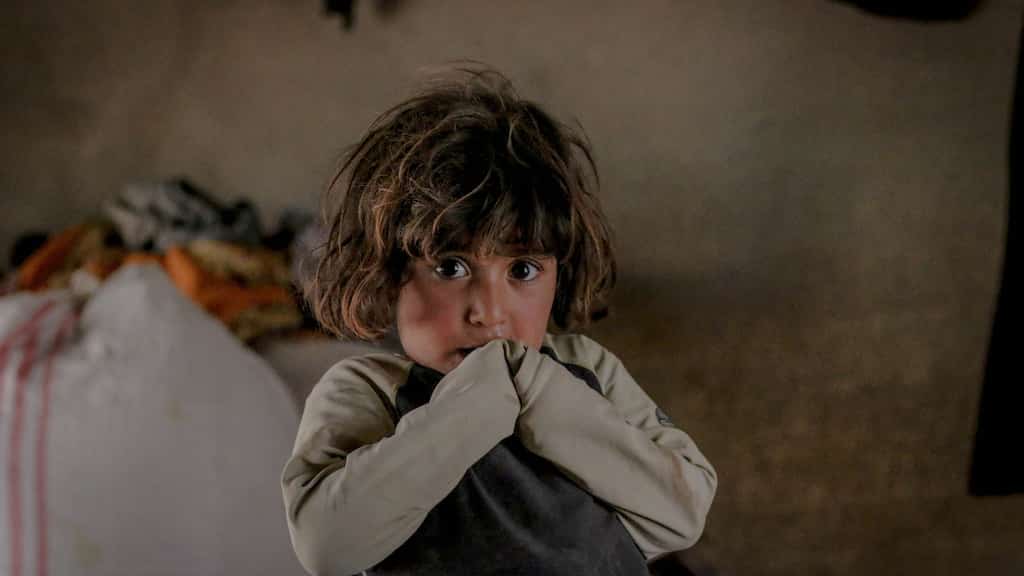 World Refugee Day 2023: Theme, historical significance, quotes and all you need to know