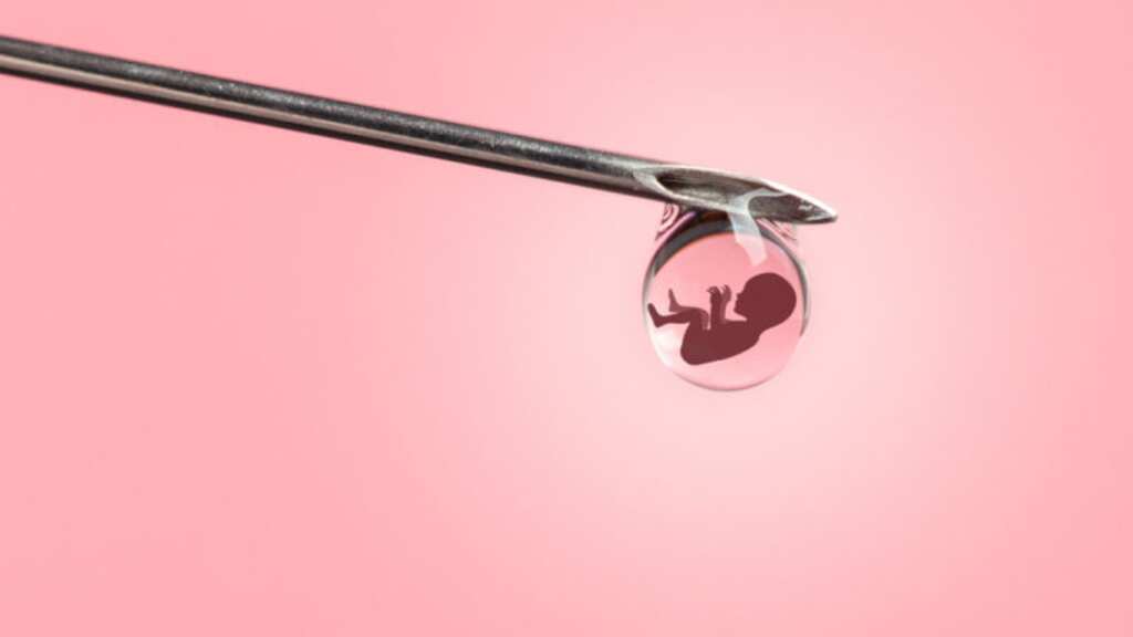 Explained | Lab-grown human embryos: Ethical conundrums and emerging frontiers