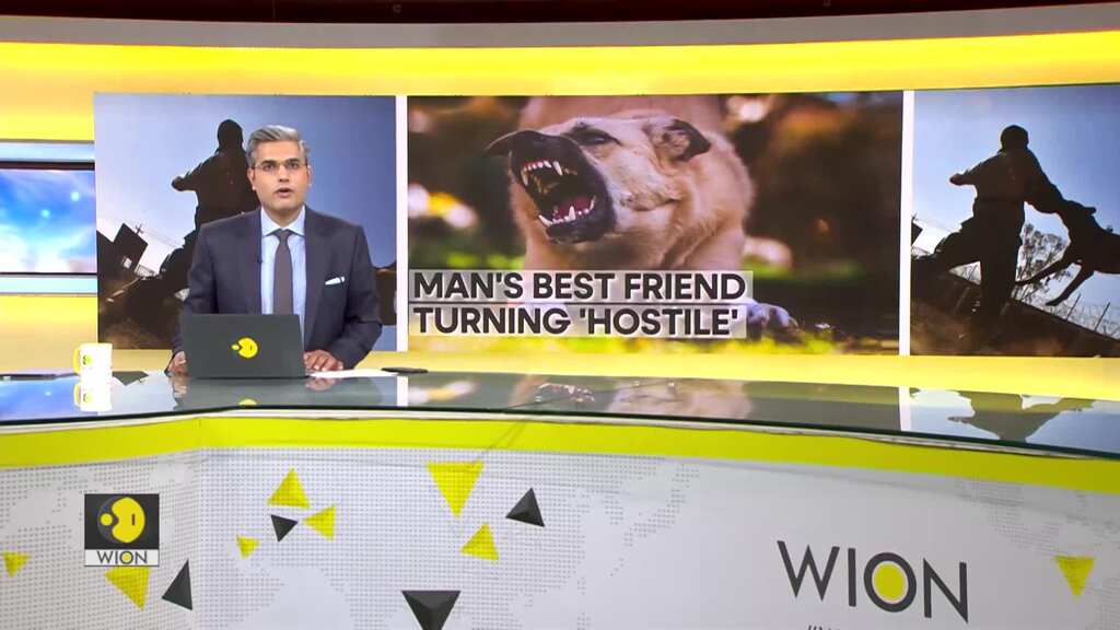 Dogs could become ‘hostile’ to humans as planet heats up