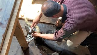 In a big relief, after five decades, govt allows repair, renovation of houseboats in Kashmir Valley