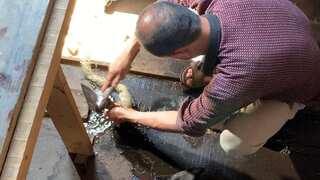 In a big relief, after five decades, govt allows repair, renovation of houseboats in Kashmir Valley