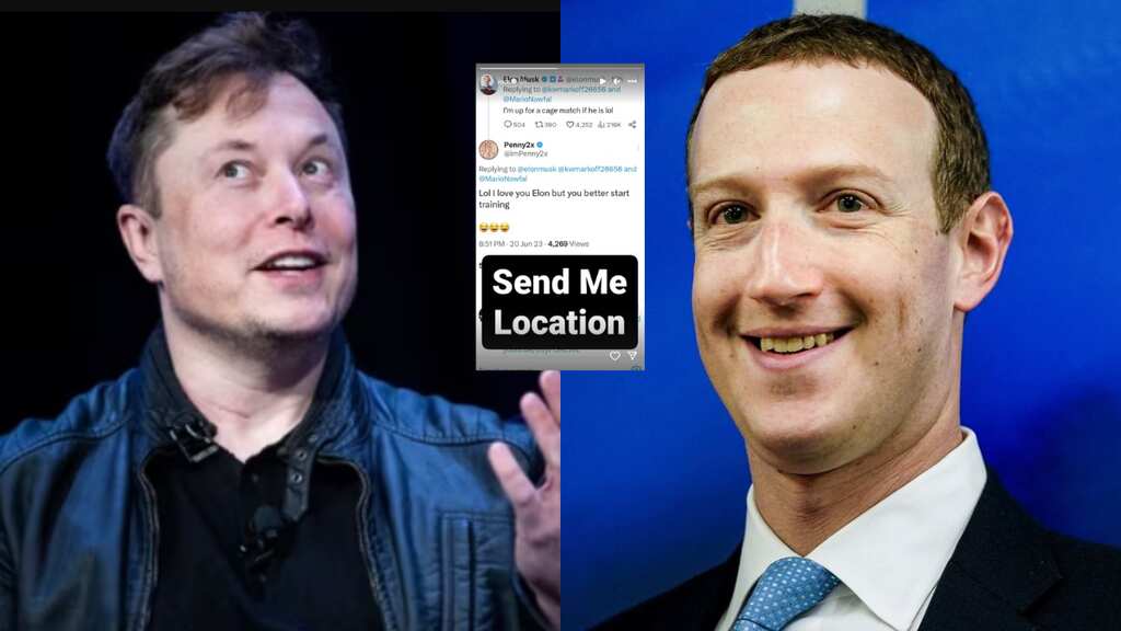 Fight of the century? Musk and Zuckerberg 'agree' to fight each other in cage match