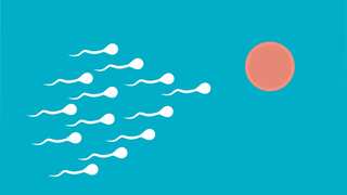 Exclusive | How can men take care of their sperm health? Infertility specialist answers