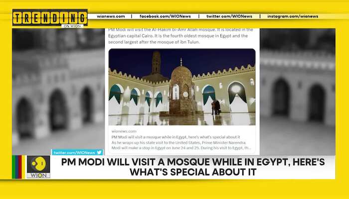 Hundreds of dolphins and sea lions die in California due to toxic algae | Trending on WION