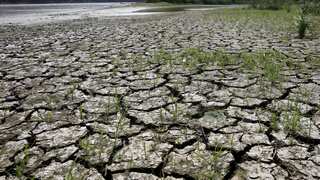 Fierce heat of El Nino may be carrying risk of resurgent deadly viruses, warns WHO