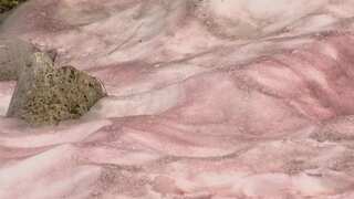 Know what is ‘watermelon snow’ | This natural phenomenon is making mountains pink and red in Utah