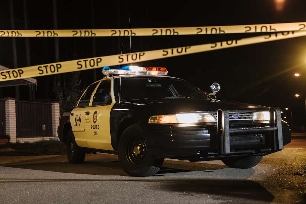 Michigan woman stabs her two children, then tries to drown one of them