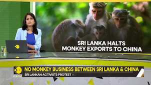 Why did Sri Lanka halt monkey exports to China?