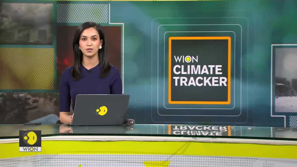 China's Yunnan sees butterfly boom