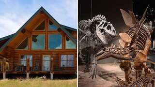 'Dino-mite deal': Colorado ranch with dinosaur bones sold for a whopping $14mn