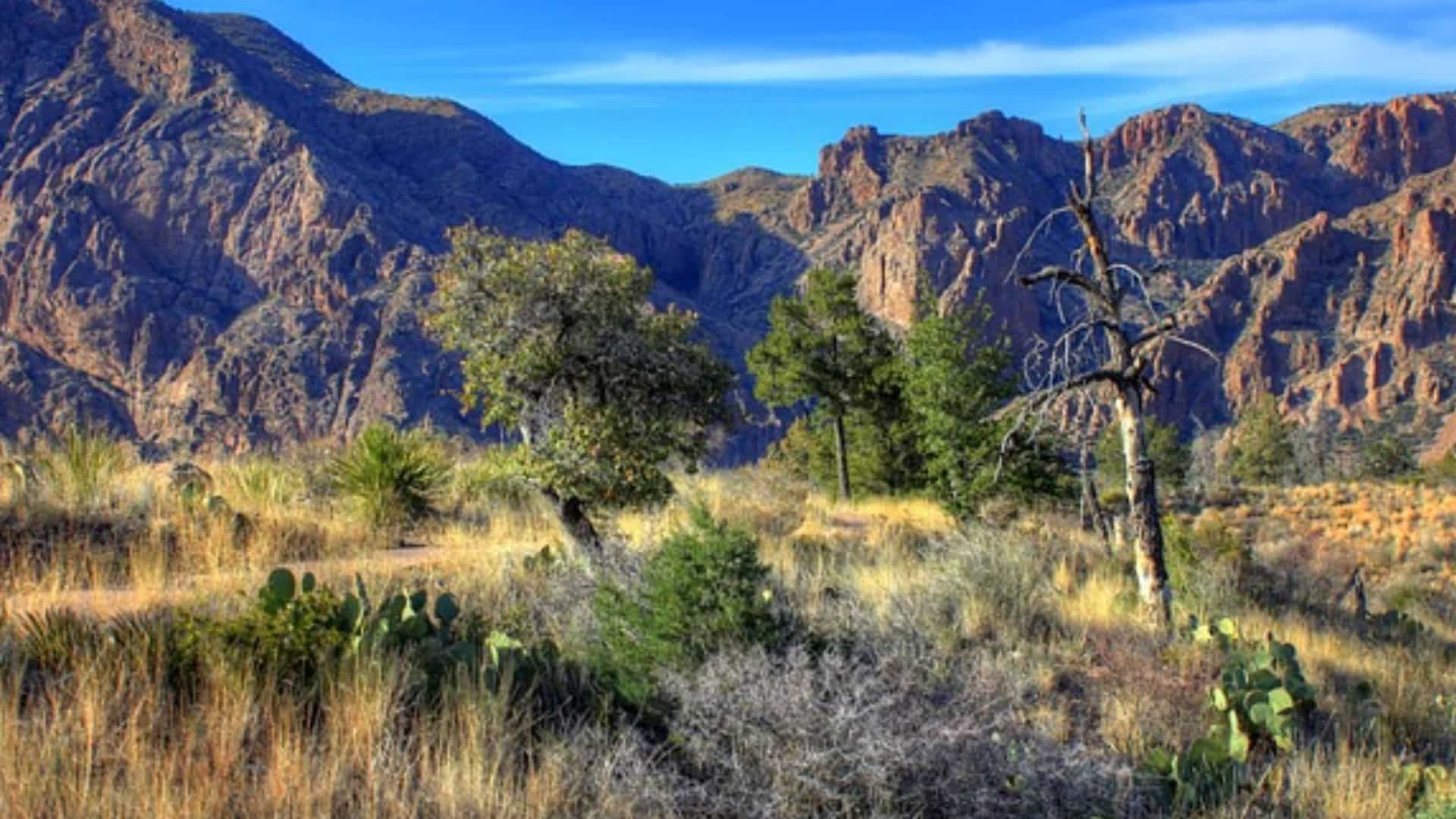 Heatwave tragedy: Man, stepson lose lives during Texas hiking expedition Heatwave tragedy: Man, stepson lose lives during Texas hiking expedition