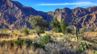 Heatwave tragedy: Man, stepson lose lives during Texas hiking expedition