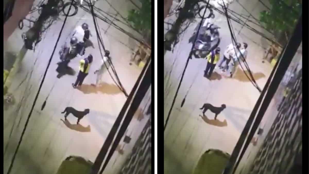 WATCH | India: ‘Drunk’ thieves try to rob Delhi couple at gunpoint, end up giving them money WATCH | India: ‘Drunk’ thieves try to rob Delhi couple at gunpoint, end up giving them money