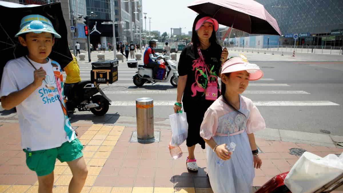 High temperatures break record
