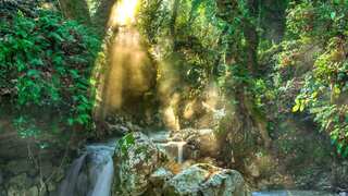 Tropical forest the size of Switzerland was lost in 2022 as deforestation remains a major issue to tackle