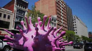 Over $200bn likely stolen from US government's COVID-19 relief programmes, says federal watchdog