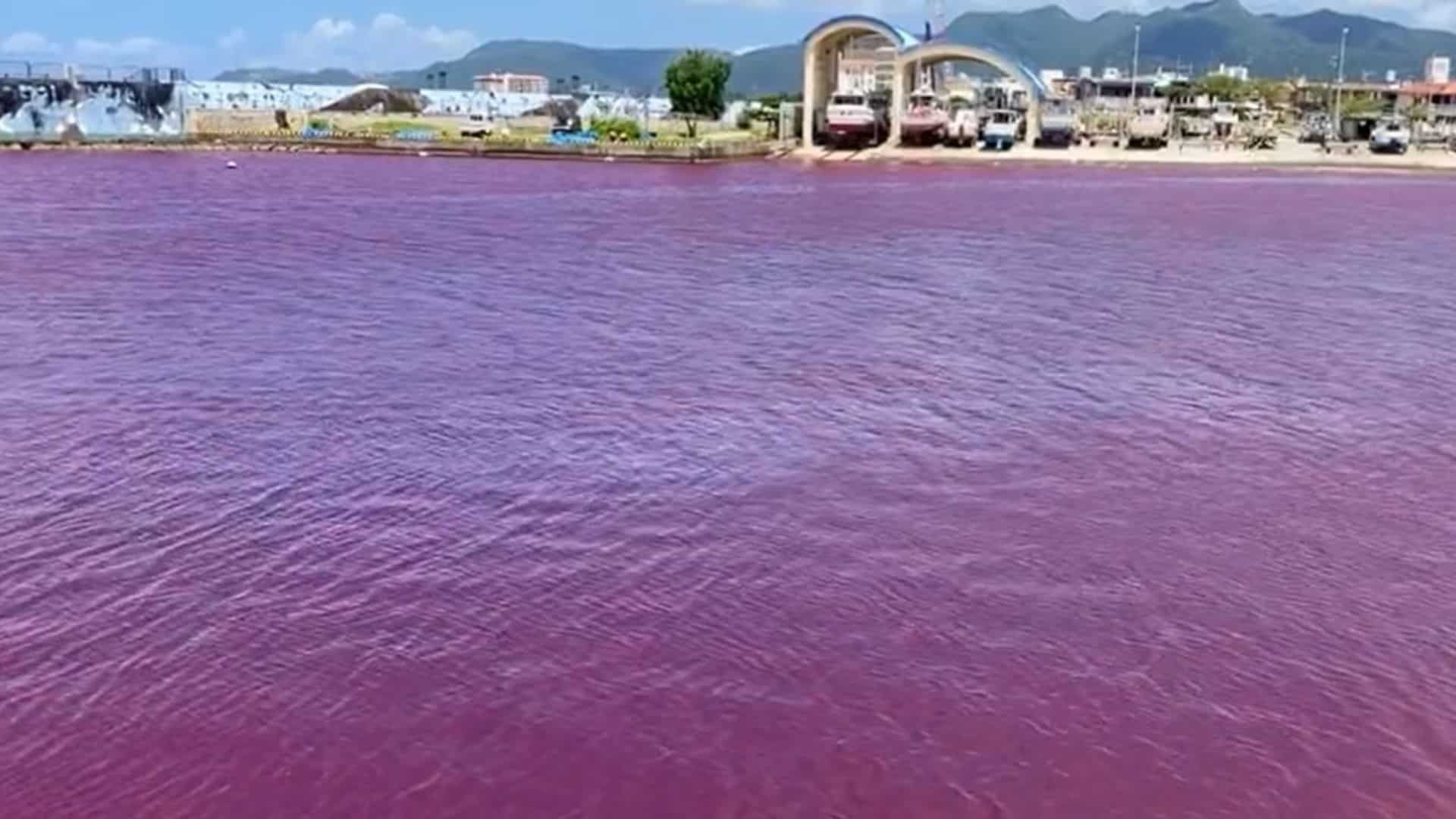 WATCH | Okinawa port awash in blood-red hue after beer factory leak in Japan