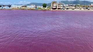 WATCH | Okinawa port awash in blood-red hue after beer factory leak in Japan