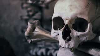 A cannibal history ? Fossils suggest human ancestors butchered and ate each other