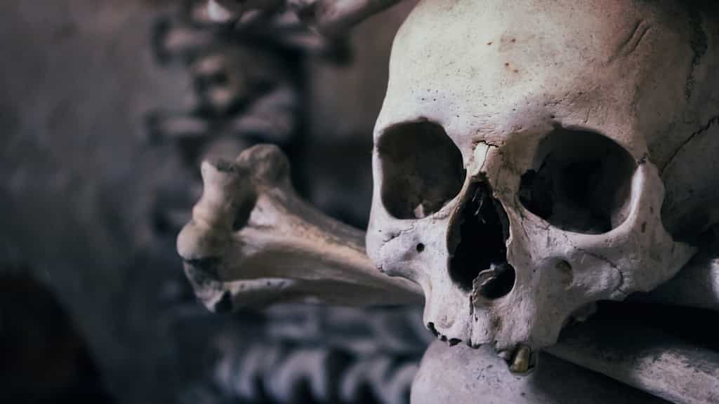 A cannibal history ? Fossils suggest human ancestors butchered and ate each other