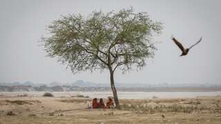 India might witness rise in domestic violence against women due to climate change: Study