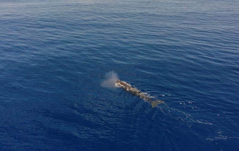 Scientists find why there is giant ‘hole' in Indian Ocean, where Earth’s gravity is at weakest