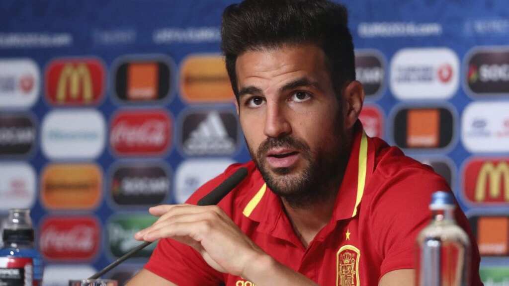 Spain legend Cesc Fabregas calls time on illustrious career to take up coaching