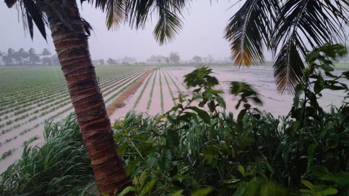 Over 100 mm of rainfall in 10 hours