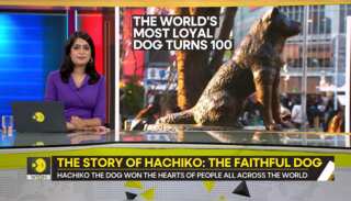Gravitas: The story of Hachiko: The faithful dog
