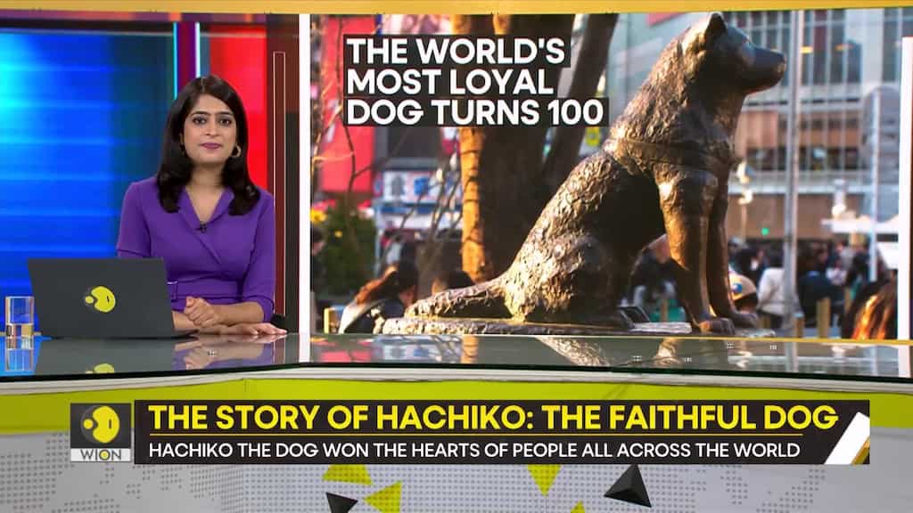 Gravitas: The story of Hachiko: The faithful dog