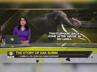 Gravitas: Sak Surin: Jumbo gifted to Sri Lanka returns to Thailand after 2 decades of abuse