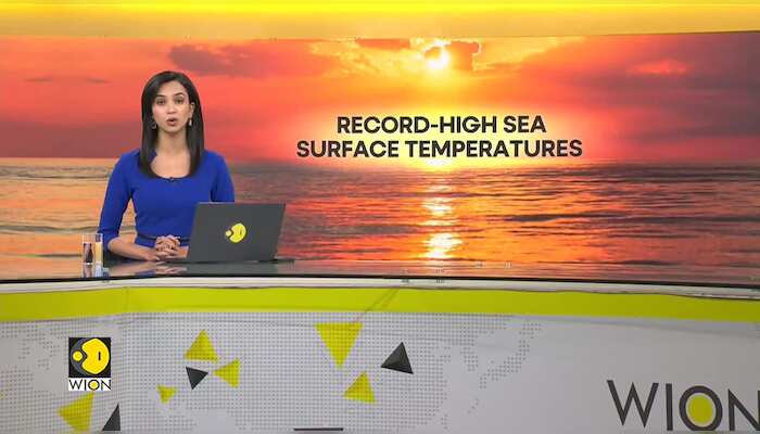 Global warming heating up land & sea as earth's temperature rises