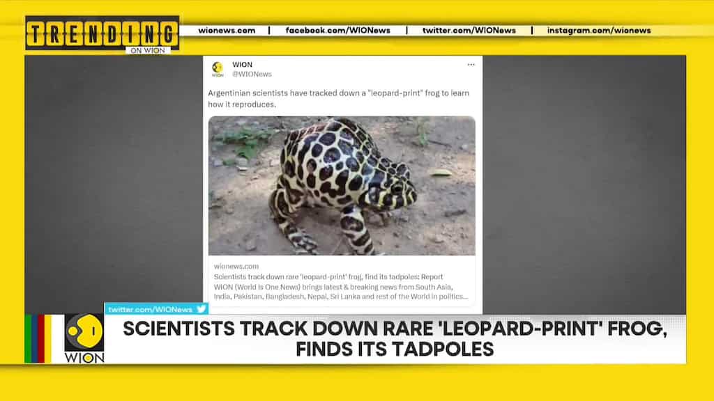 Russian war crimes investigator succumbs to injuries from Russian missile attack