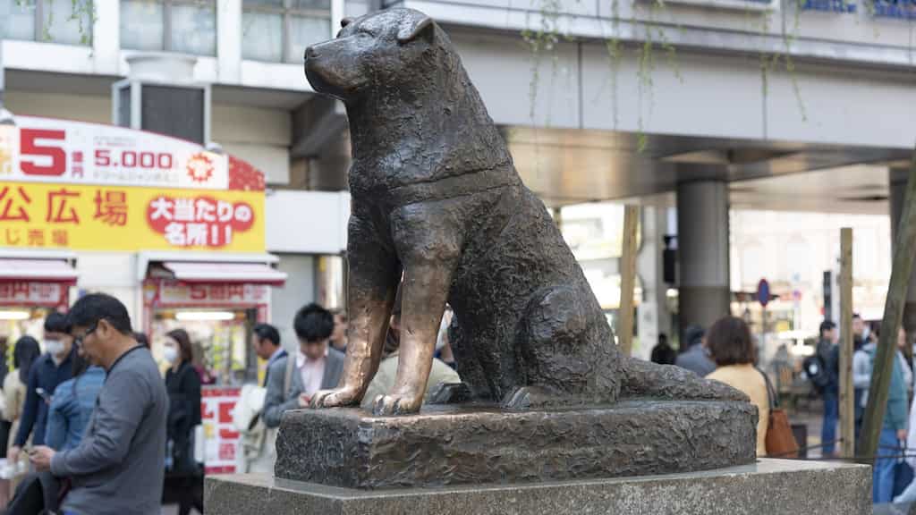 Japan's ever-faithful dog Hachiko turns 100