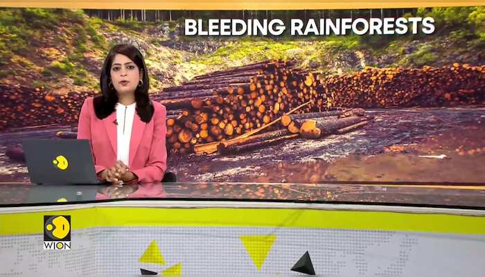 WionNews Video