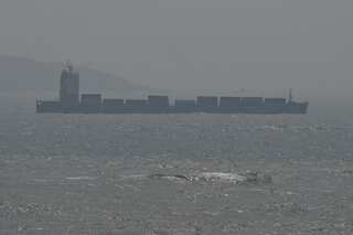 Eight Chinese aircraft crossed Taiwan's Strait's median line: Taipei
