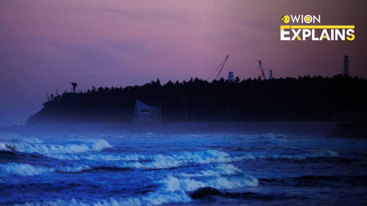 Explained: Japan gets OK to release Fukushima radioactive water. What's the row about?