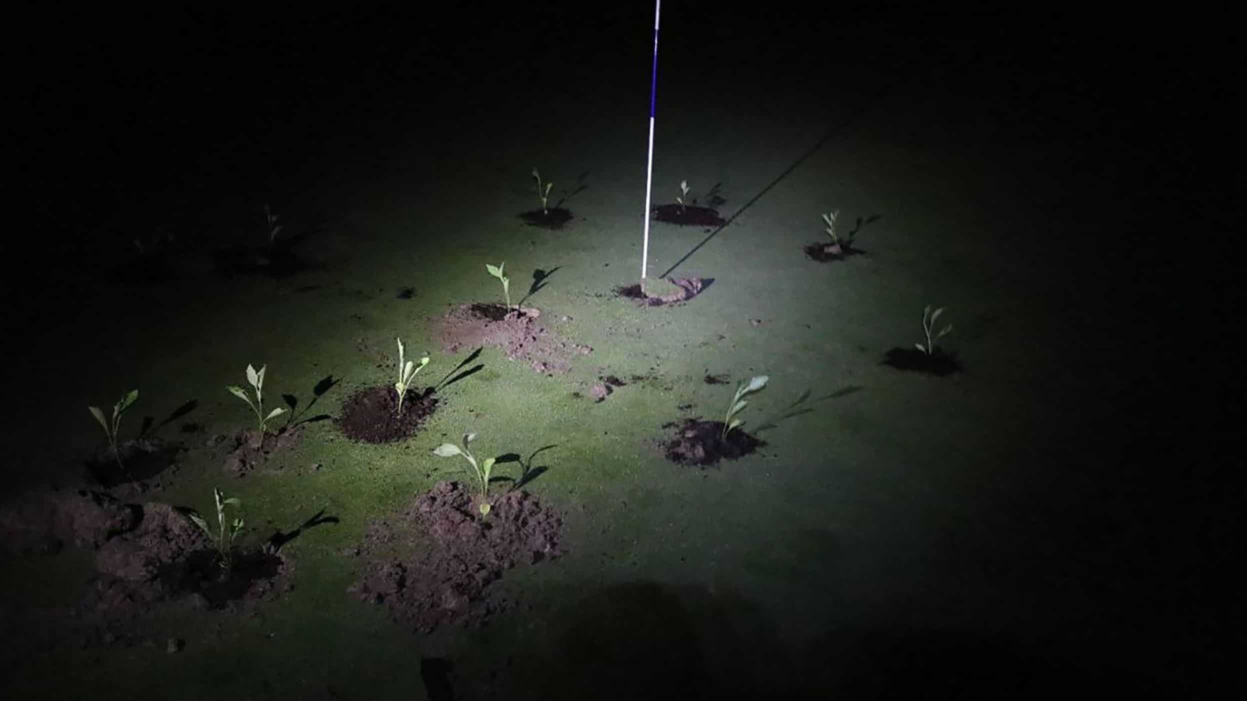 Climate activists plug up holes in golf courses across Spain amid massive drought Climate activists plug up holes in golf courses across Spain amid massive drought